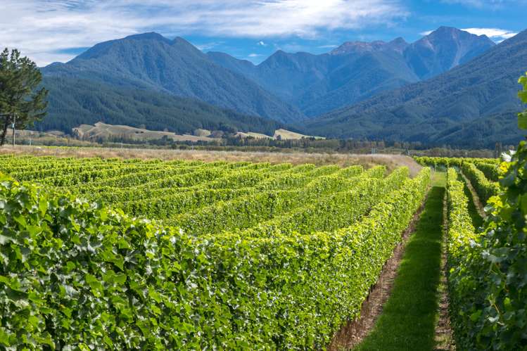 2486 State Highway 63 Wairau Valley_11