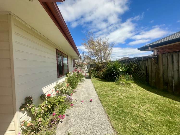 9b Lamia Grove Papamoa_1