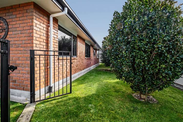 7e Corokia Street Bell Block_11