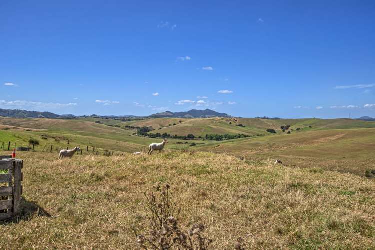 746 Puketitoi Road Titoki_42