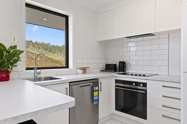 1 Lemonwood Lane Kinloch_16