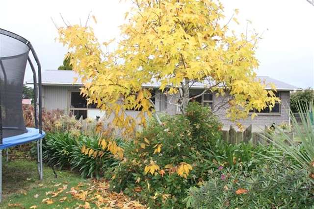 3 Scott Street Tuatapere_1