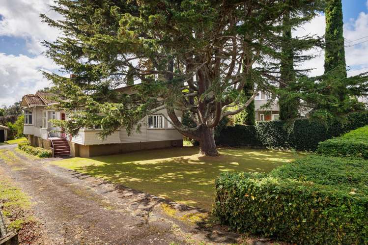 54 Lloyd Avenue Mount Albert_29