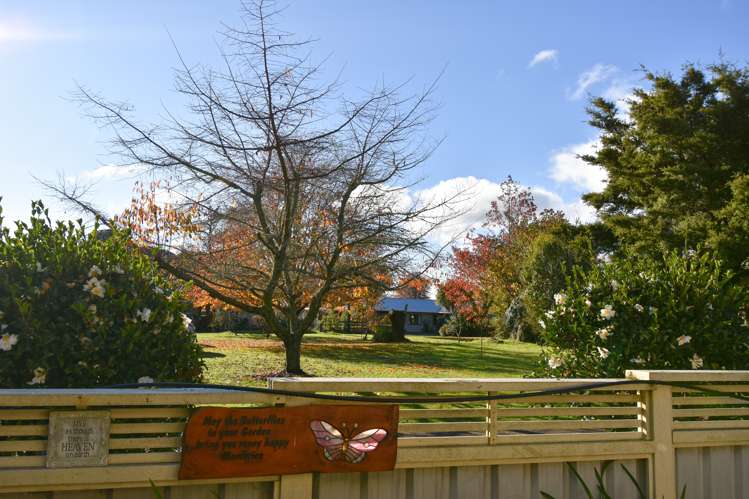 86c Kawaha Point Road Kawaha Point_17