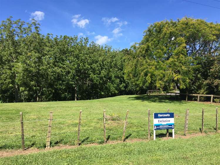 631 Peacockes Road Rukuhia_0