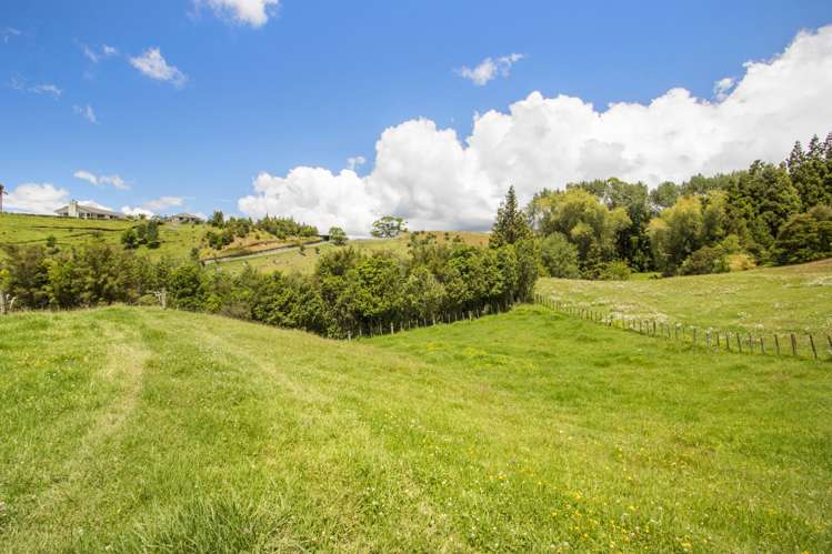 383A Busby Road Katikati_7