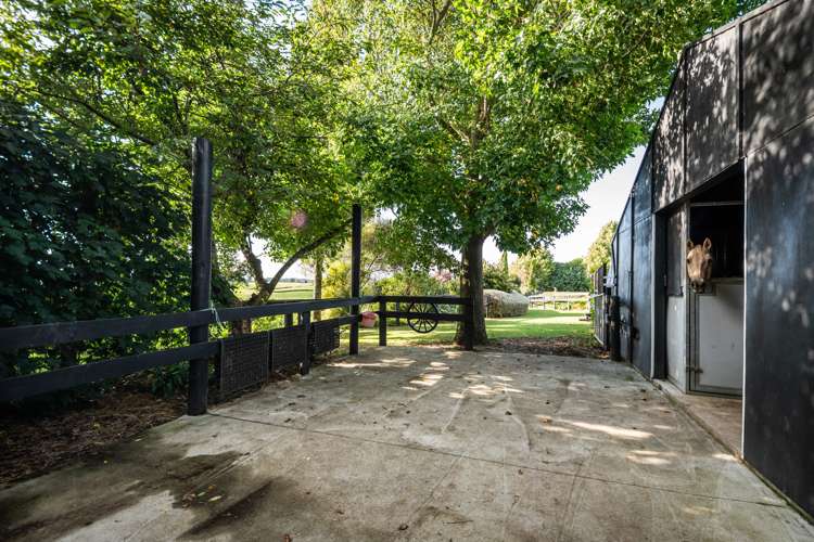 228 Long Road Te Awamutu_6