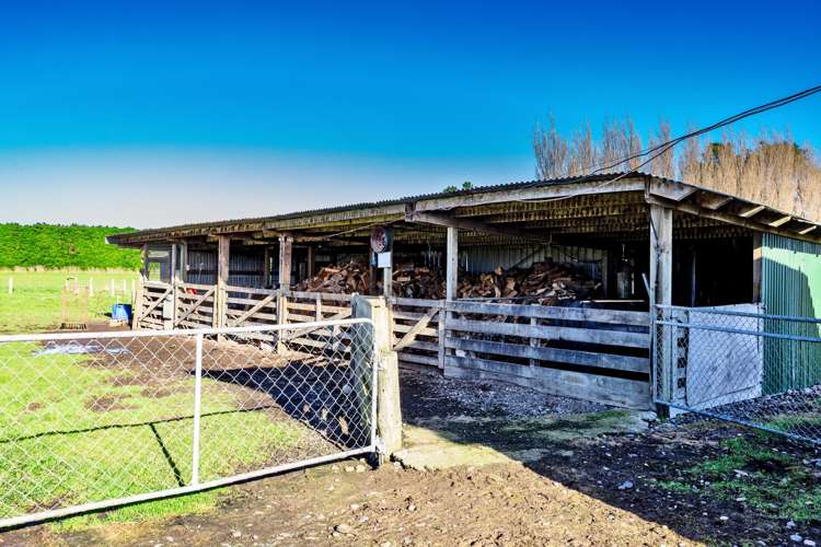 1 McStay Road Rimu_36