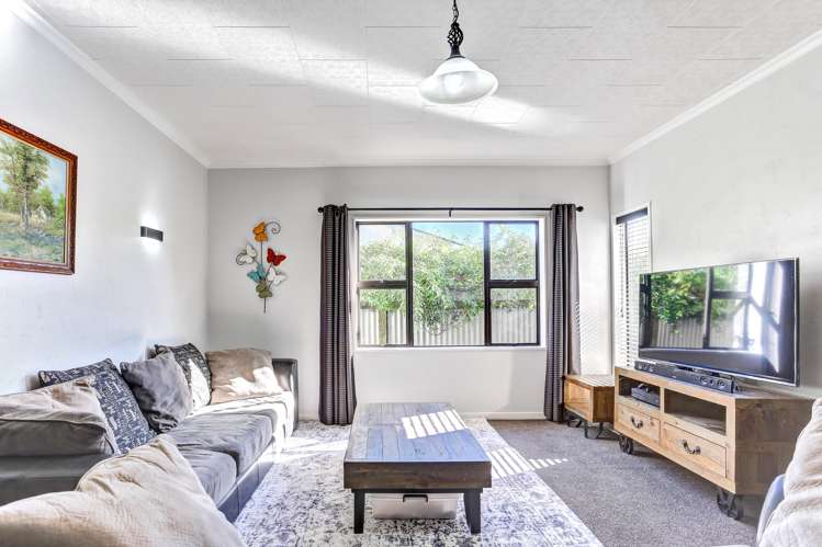 6 Parkes Avenue Saint Johns Hill_11