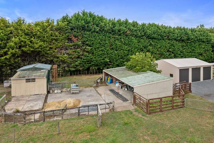 267 Matangi Road Matangi_22