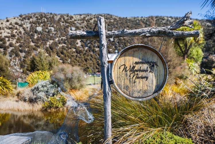 78 Nursery Road Queensberry_12