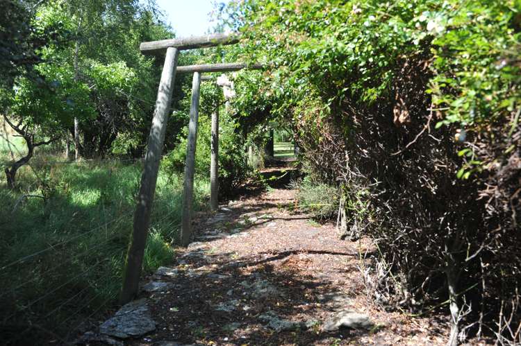 156 Smiths Road West Otago Surrounds_17