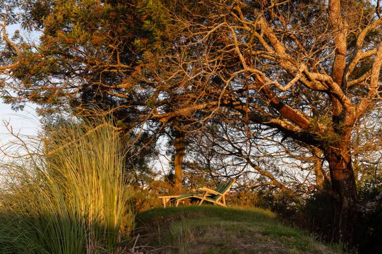 24 Wisteria Place Flagstaff_30