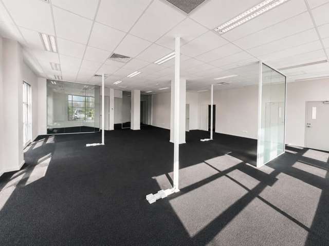 46 Acheron Drive Riccarton_3