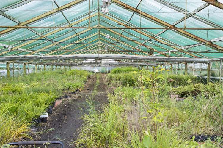 188 Jutland Road Pukekohe_8