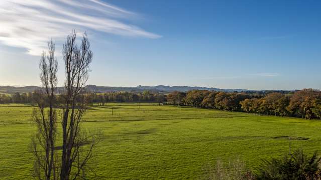 464 Mount Herbert Road Waipukurau and Surrounds_3