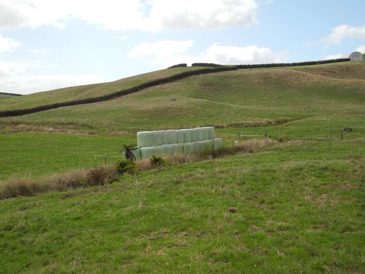 384 Te Pahu Road Te Pahu_8