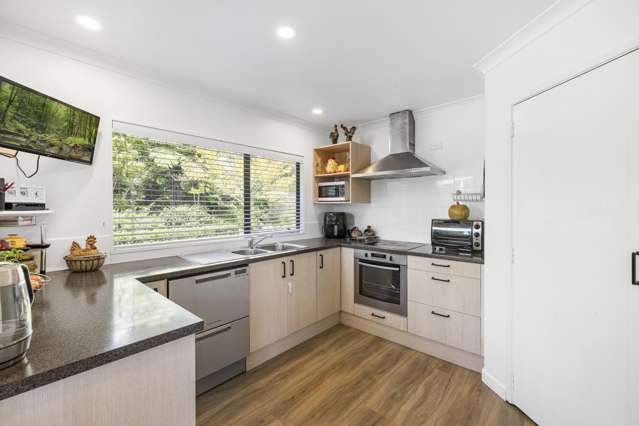 2252 SH29 Lower Kaimai_2