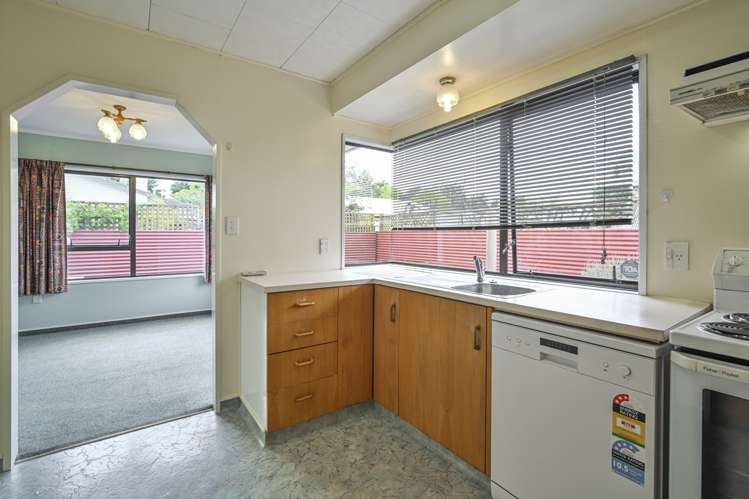 1002 Reka Street Akina_4