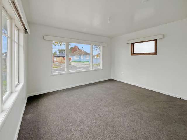 73a Rangiora Avenue Roslyn_4