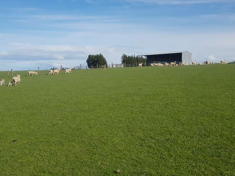 Hillend Road Balclutha_4