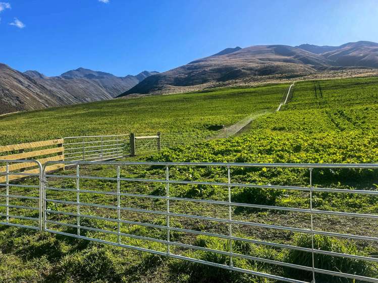 1551 Double Hill Run Road Rakaia Gorge_45