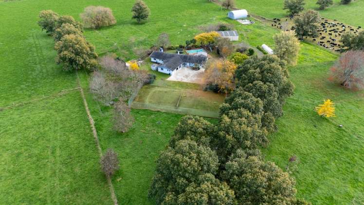 308 Mill Road Ohaupo_33