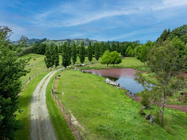 65b Ngakoroa Road Ormond_18