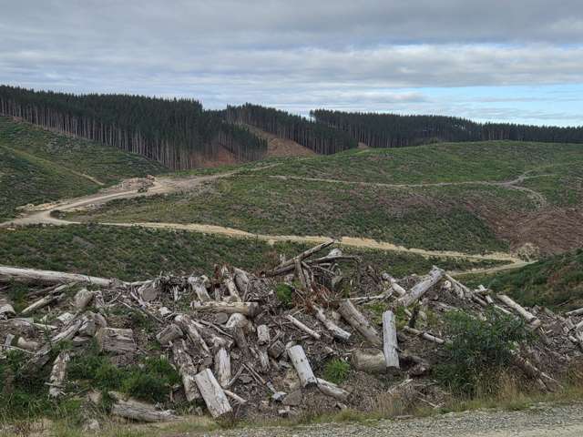 Broad Gully Road Ikawai_1