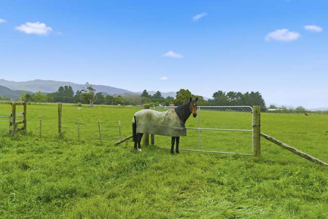 81 Muhunoa West Road Ohau_3