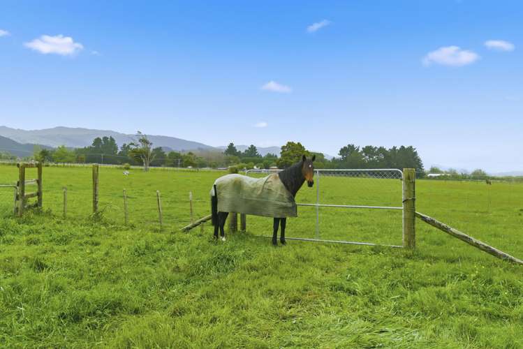 81 Muhunoa West Road Ohau_3