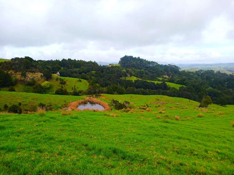 Lot 1 & 3 Fisher-Riley Road Kaitaia_7