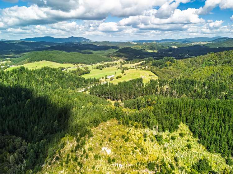 Pokapu Road Matawaia_11