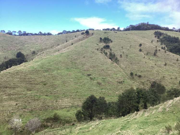 Lot 2, 607 Mangawara Road Morrinsville_3