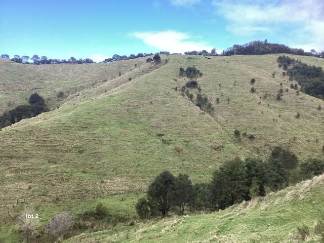 Lot 2, 607 Mangawara Road Morrinsville_2
