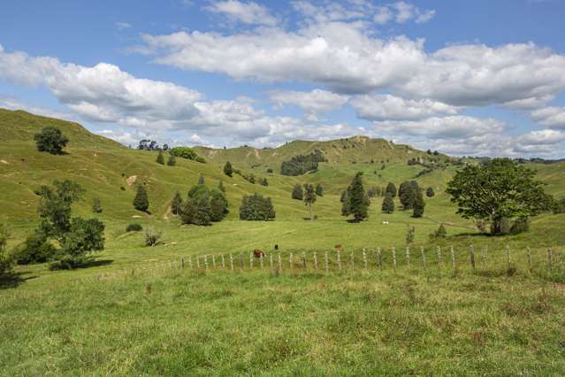 510 Barclay Road Aria_4