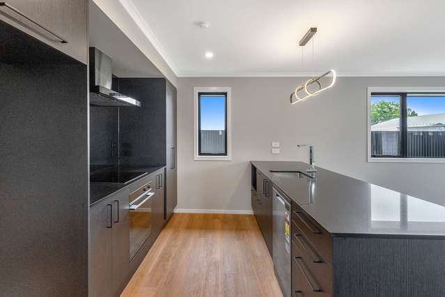 107a Racecourse Road Allenton_3