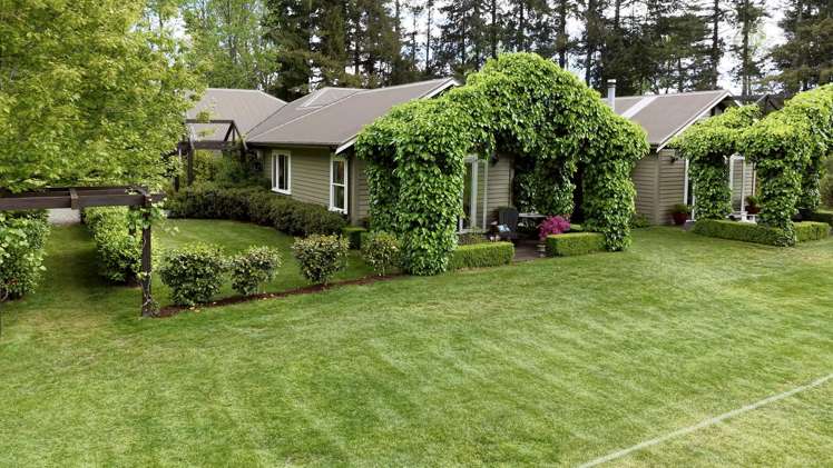 365 Whangamata Road Kinloch_31