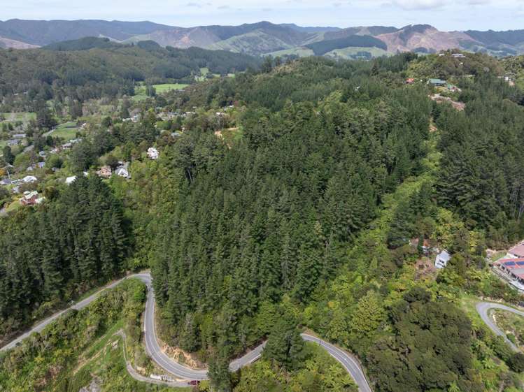 222-228 Blue Mountains Road_5