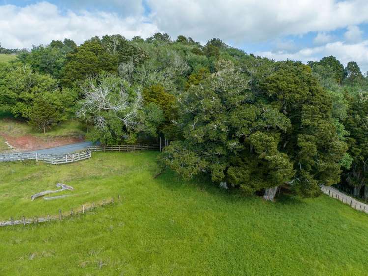 45 Monument Road Kawakawa_12
