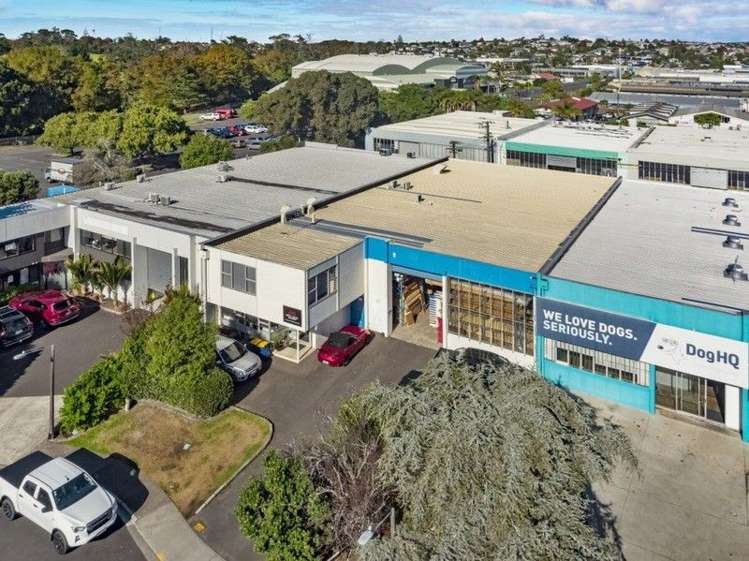 7 Goldfield Wairau Valley_9