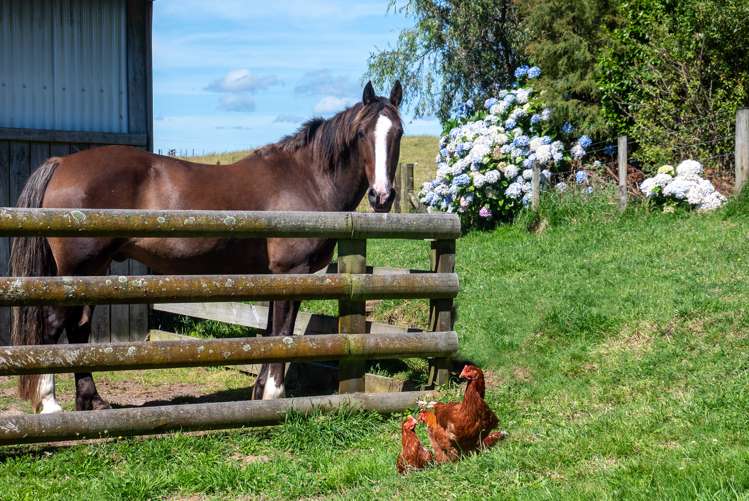 691 Te Waerenga Road Hamurana_7