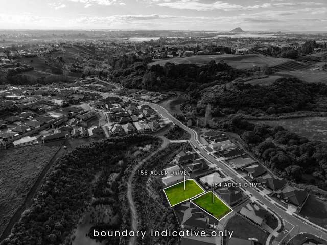 158 Adler Drive Ohauiti_4