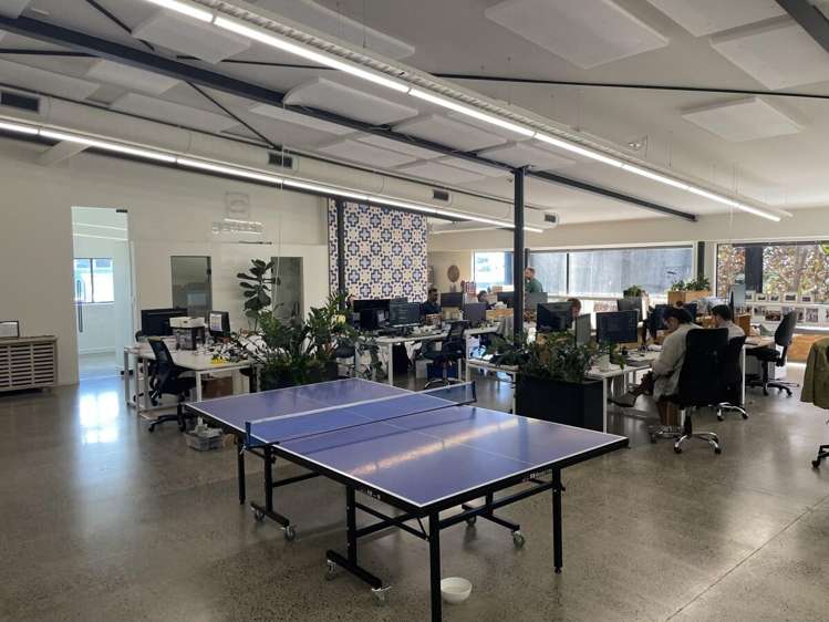 14 McDonald Street Morningside_10