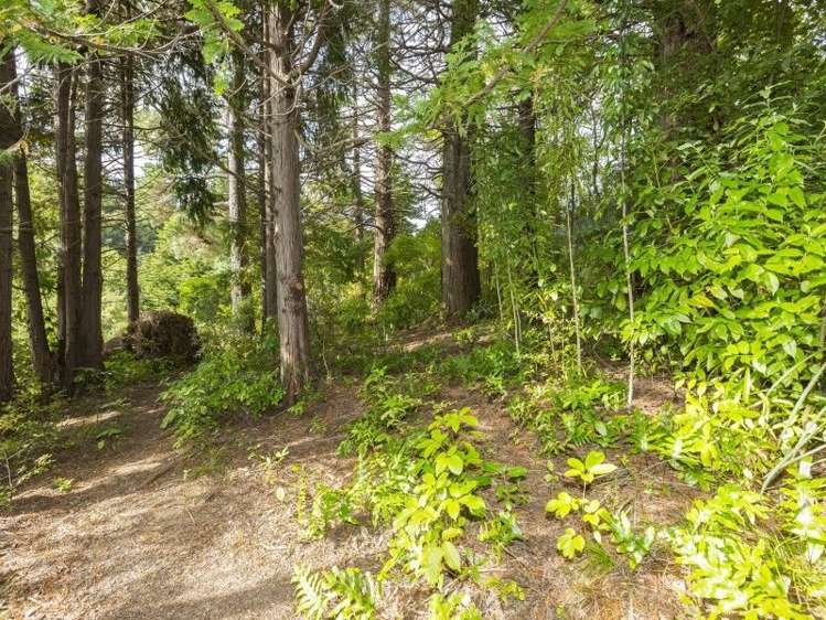 1 Freemans Way Pinehaven_5