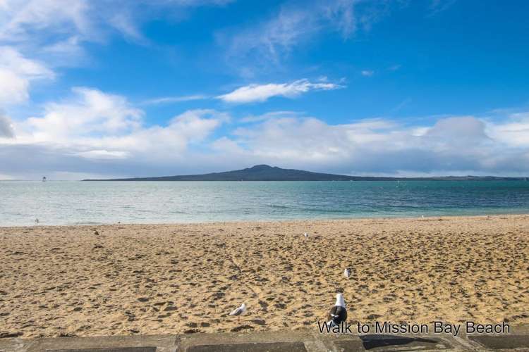 72 Selwyn Avenue Mission Bay_12