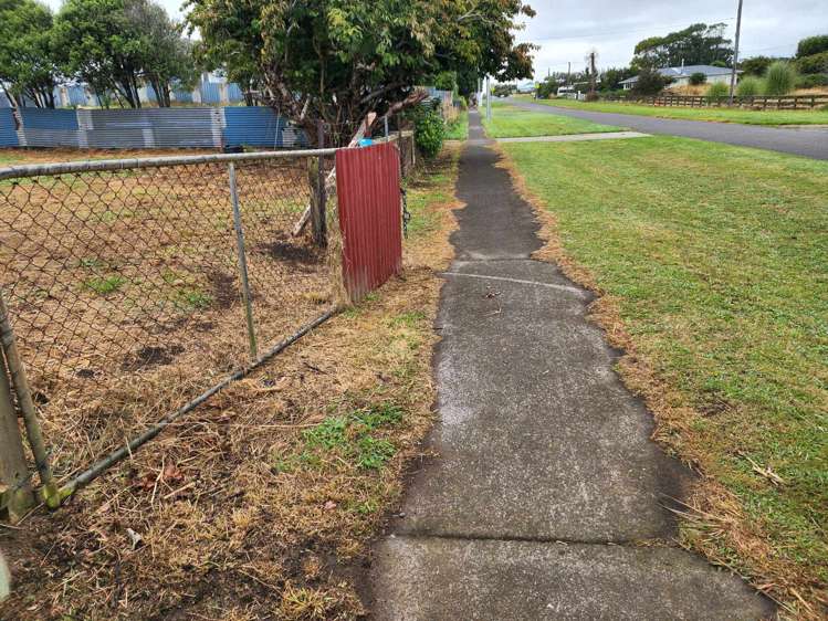 34 Brassey Street Waverley_7