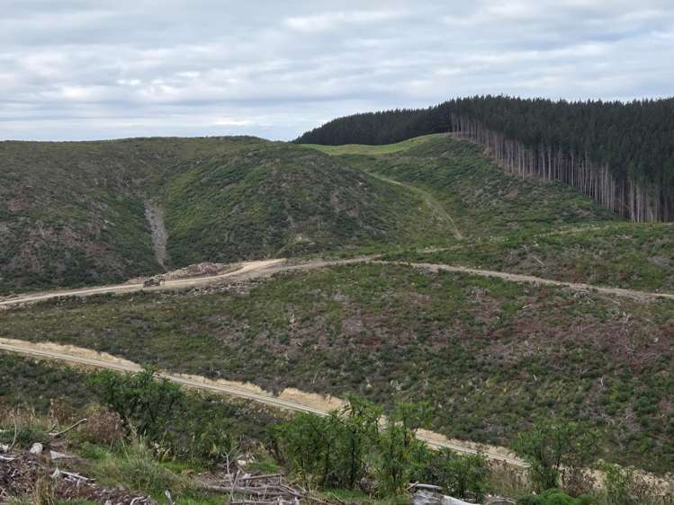 Broad Gully Road Ikawai_7