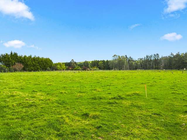 Lot Lot 2/759 Chester Road West Taratahi_3