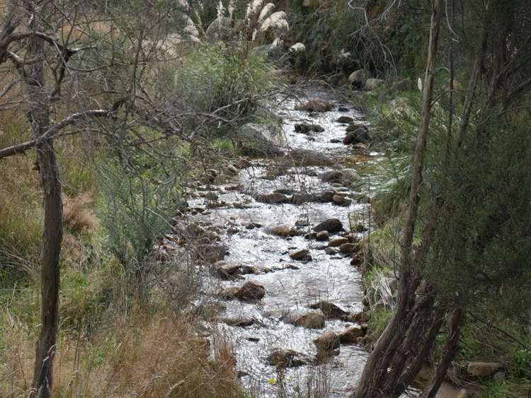 414 Sherry River Road Tapawera_22